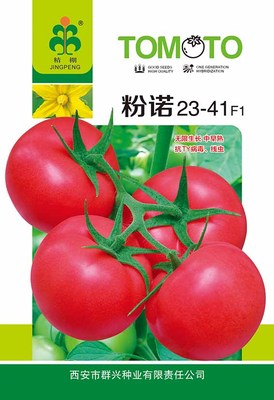 粉诺23-41