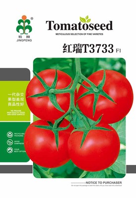 红瑞T3733