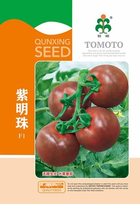 紫明珠