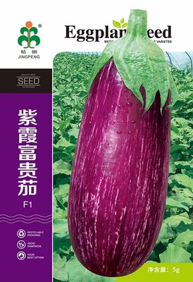 紫霞富贵茄