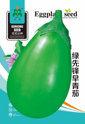 绿先锋早青茄